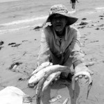 FISHING and tourism in central Vietnam have been hit hard by marine deaths. Here, a man shows few of the dead fish washed ashore. (AFP)