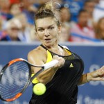 Simona Halep (AP Photo/John Minchillo)