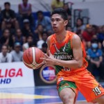 Mindoro Tamaraws (MPBL photo)