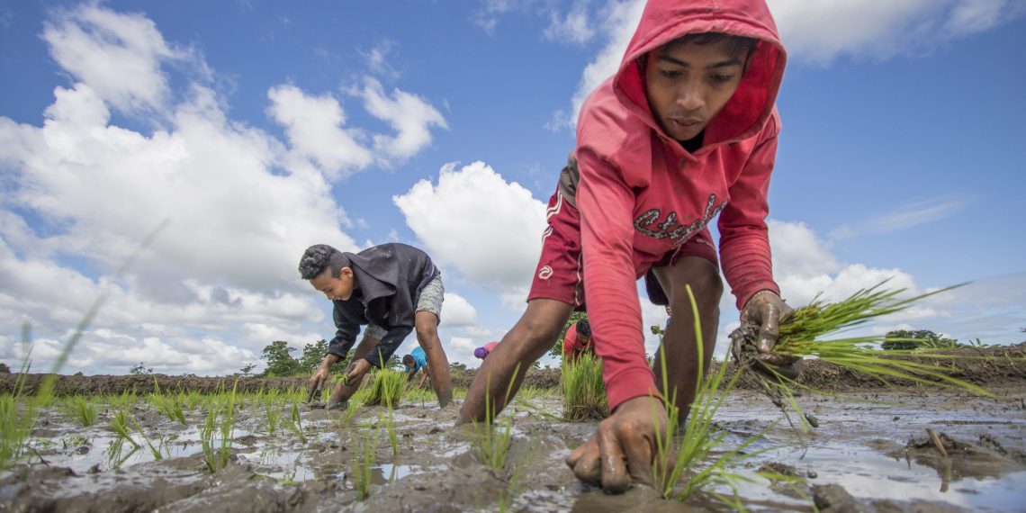 Expanded DA Young Farmers Challenge  to launch soon